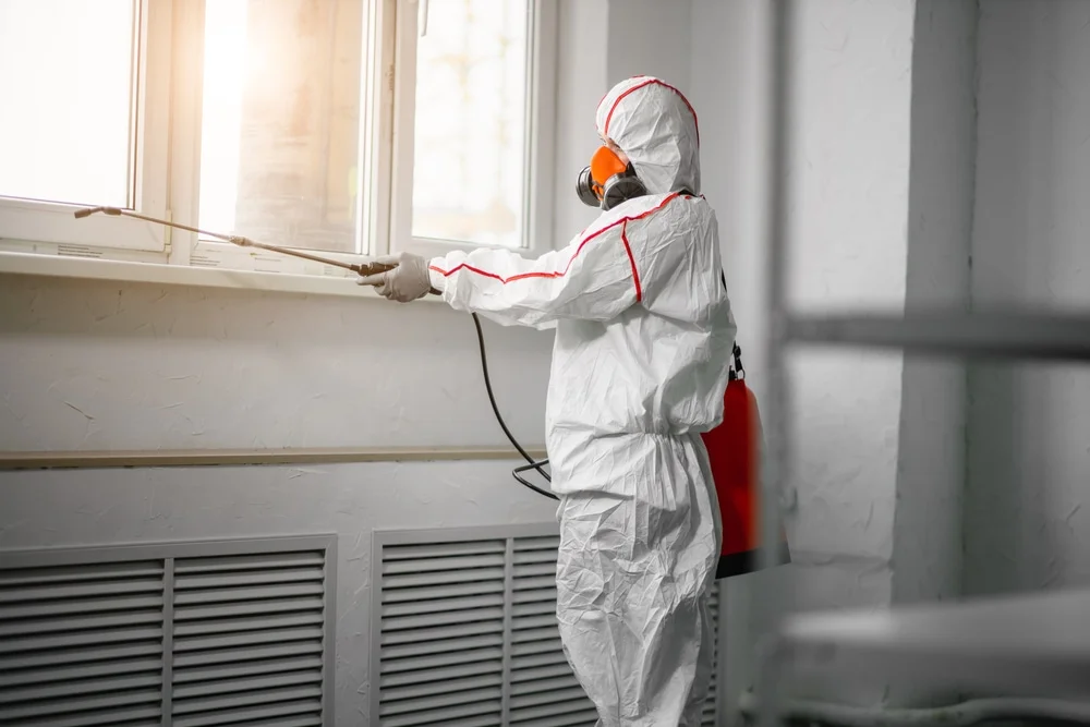 Professional mold remediation services in McDonald, OH